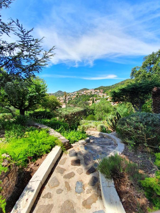 Appartements Dans Villa En Rez De Jardin Hyères Exteriér fotografie