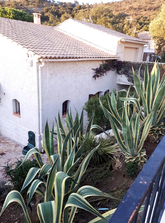 Appartements Dans Villa En Rez De Jardin Hyères Exteriér fotografie