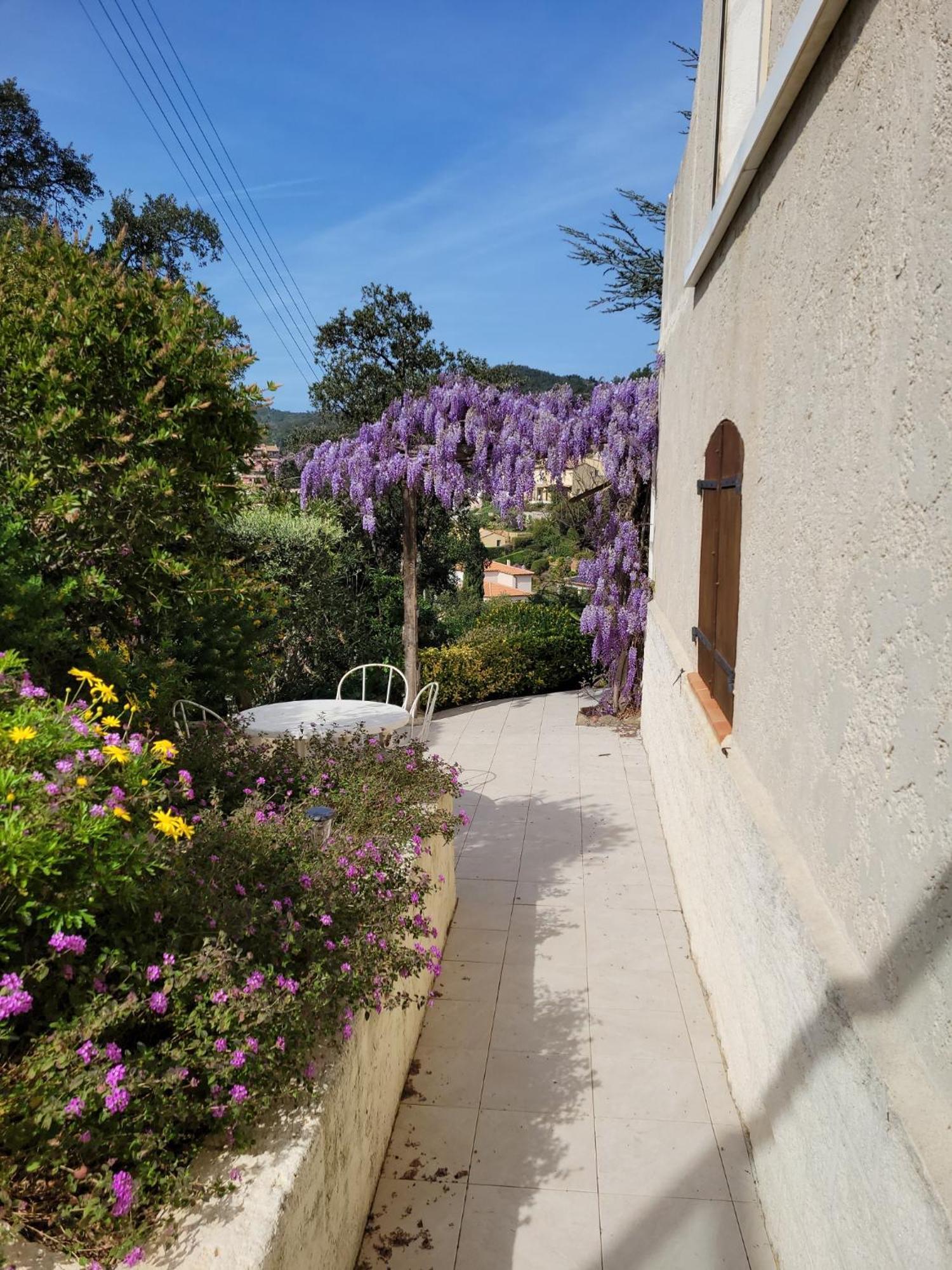Appartements Dans Villa En Rez De Jardin Hyères Exteriér fotografie