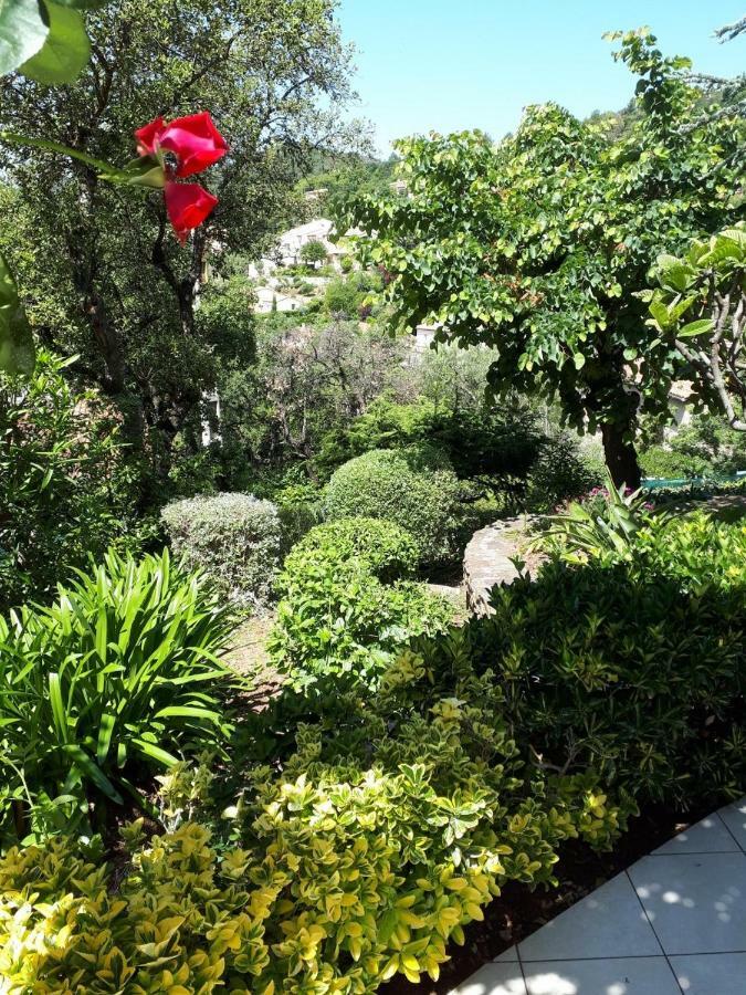 Appartements Dans Villa En Rez De Jardin Hyères Exteriér fotografie